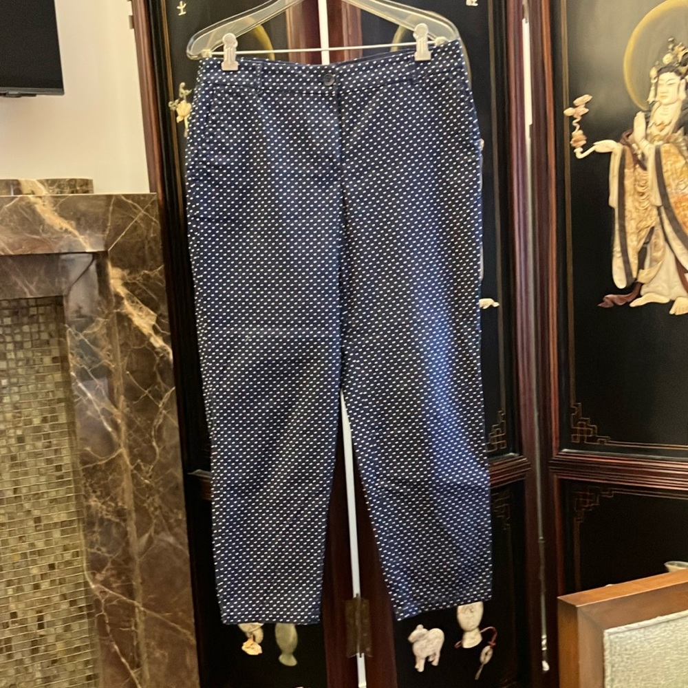 The Weekend Talbots Blue and White Chinos with Tailored Fit